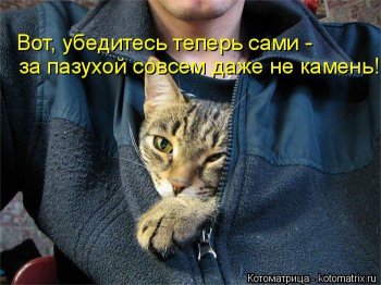 Эти забавные животные