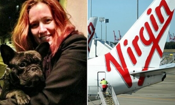 Авиакомпания Virgin расследует смерть бульдога на борту самолета (7 фото)