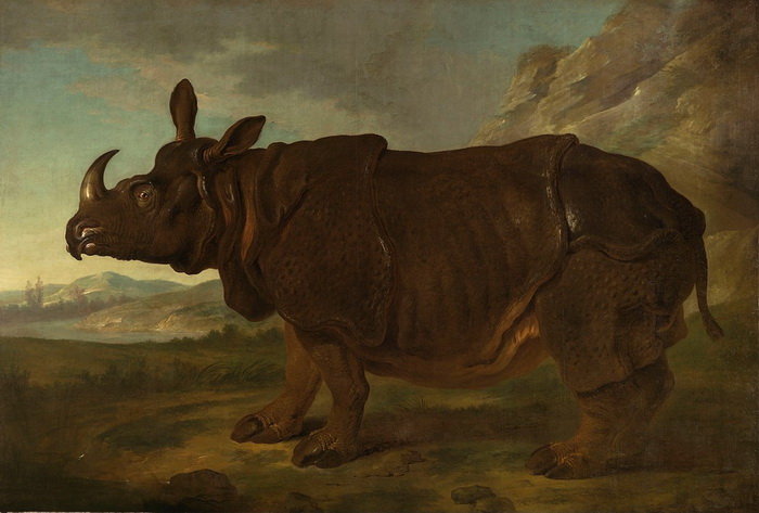Самый знаменитый носорог 18 века