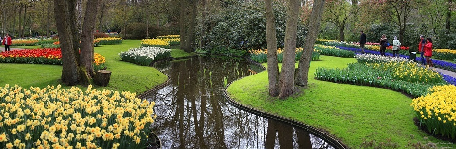 Парк цветов Кёкенкоф, Нидерланды (26 фото)