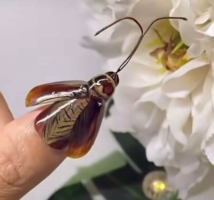 15 человек, которые воплощают в жизнь свои сомнительные идеи, но лучше бы они держали их при себе - «Смешное»