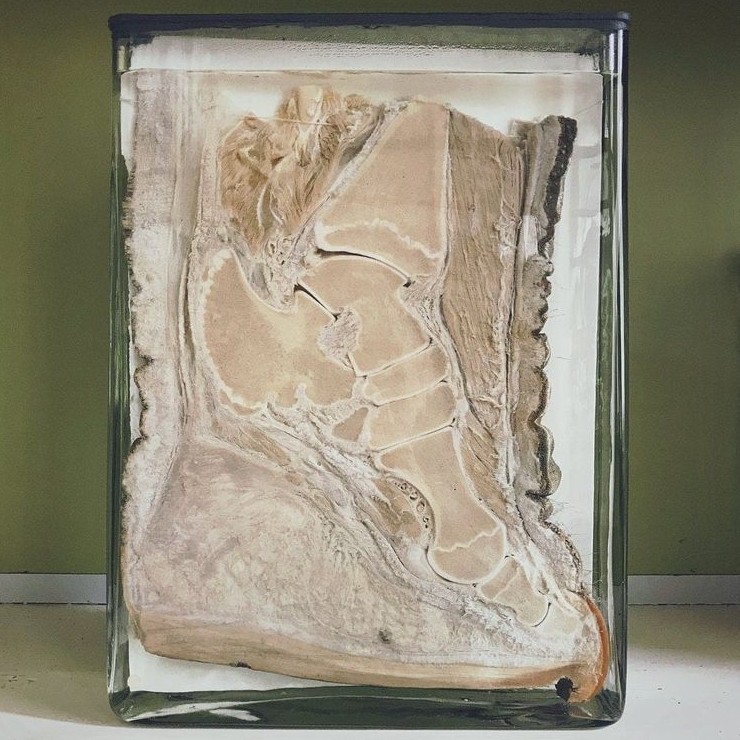 17 объектов в разрезе, глядя на которые и не подумаешь, что так они выглядят изнутри - «Смешное»