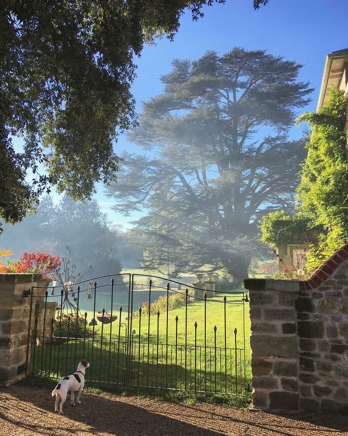 19 неожиданных фотографий с рабочих мест, сделанных прямо на смене - «Смешное»