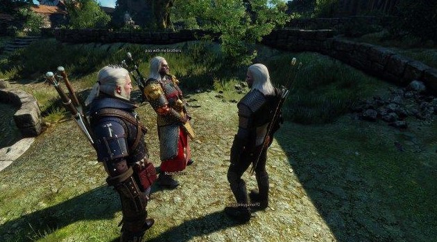 Для третьего «Ведьмака» вышел кооперативный мод Witcher Online (9 фото) - «Хорошее настроение»