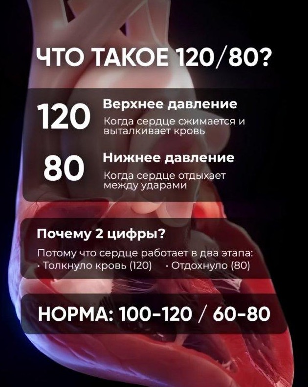 В Сети сделали большую шпаргалку о давлении (7 фото) - «Хорошее настроение»