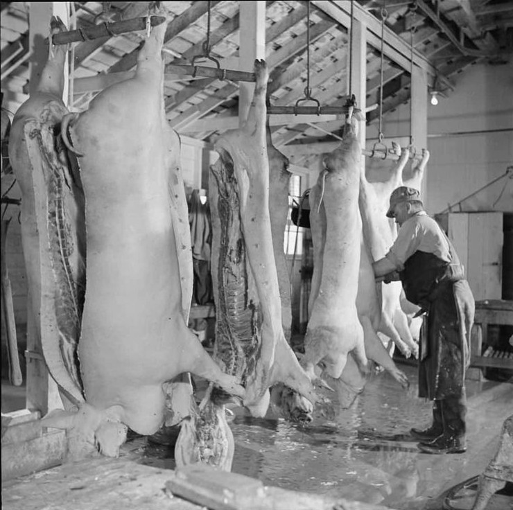 11 мрачных фактов об электрошоковой терапии, которые сегодня звучат довольно жутко - «Смешное»