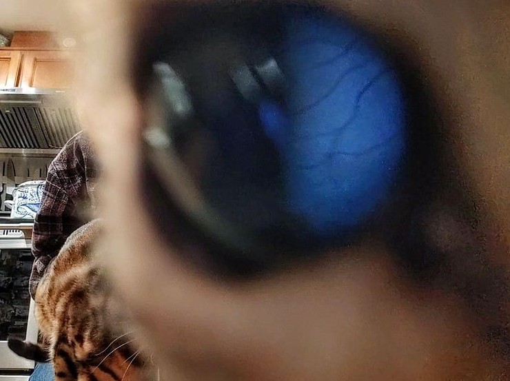 17 удивительных моментов из обычной жизни, которые выглядят так, будто их подстроила сама Вселенная - «Смешное»