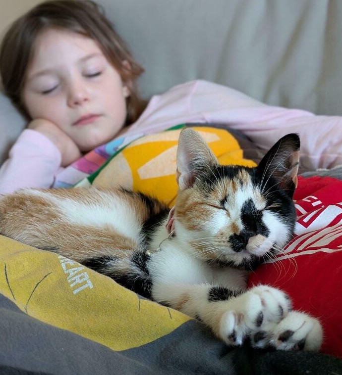 18 фото питомцев, нашедших свой дом, на которых видно, как выглядит настоящее животное счастье - «Смешное»