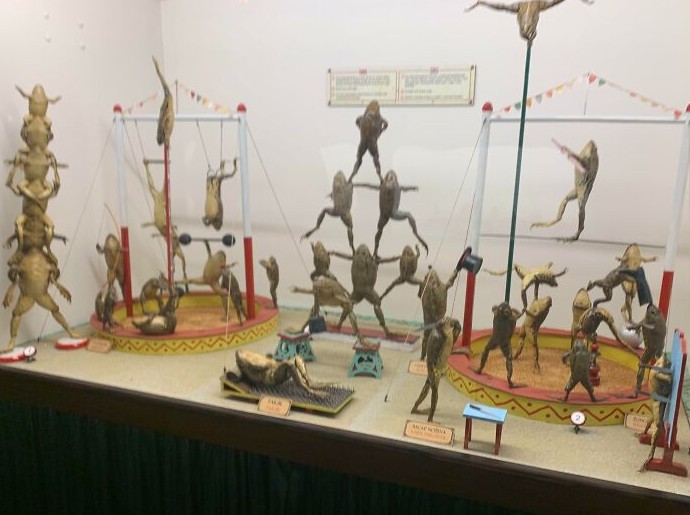 16 музеев, которые ломают стереотипы и превращают поход в настоящее приключение - «Смешное»