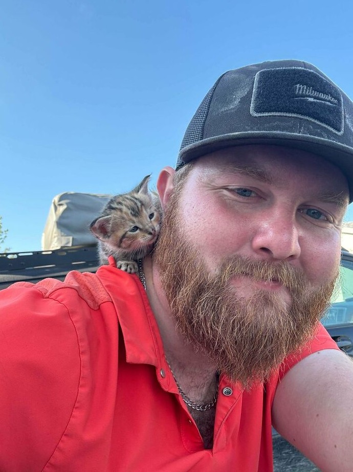 18 фото животных из приюта, которые наконец нашли дом их жизнь изменилась в один день - «Смешное»