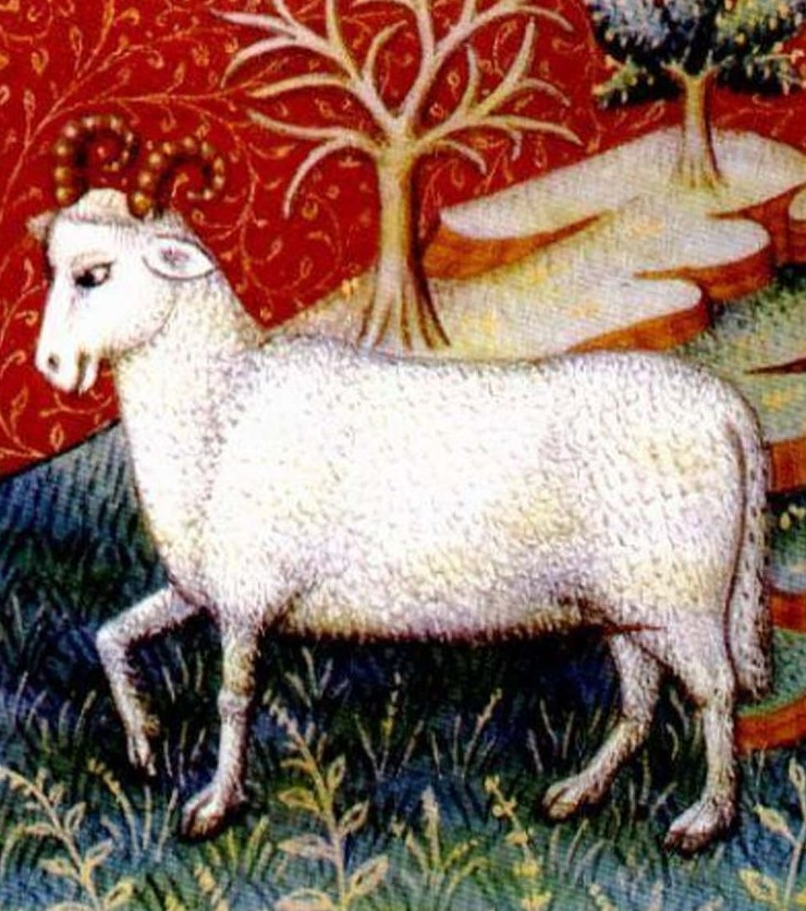 Чего вы на самом деле боитесь: скрытые страхи каждого знака зодиака - «Смешное»