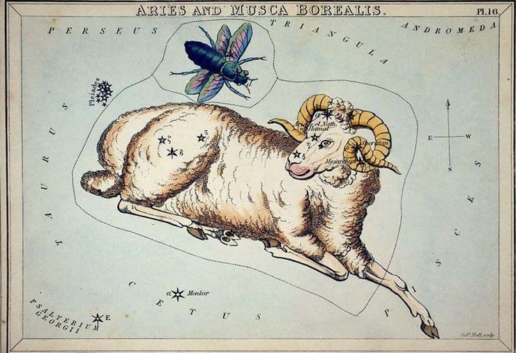 Самые раздражающие черты каждого знака зодиака (но только без обид) - «Смешное»