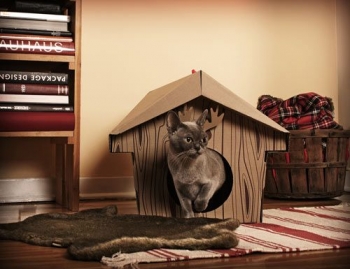 Картонные домики для кошек (6 фото) - «Хорошее настроение»