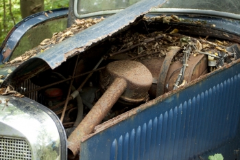 50 старинных автомобилей в лесу - «Хорошее настроение»