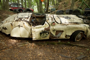 50 старинных автомобилей в лесу - «Хорошее настроение»