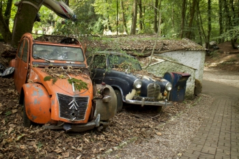 50 старинных автомобилей в лесу