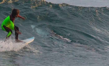 10-летний серфер случайно проплыл над белой акулой (4 фото) - «Хорошее настроение»