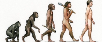 Мифы об эволюции человека (10 фото)