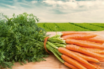 Почему морковь оранжевая? Всё дело в политике